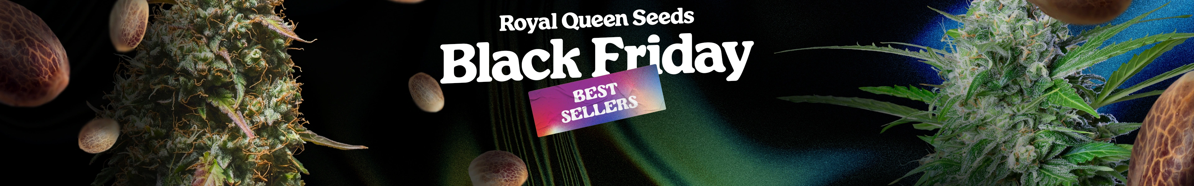 Meet the Royal Queen Seeds Black Friday Week Best Sellers